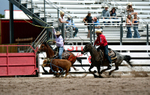 3HRodeo7-22-25_CFD_03300_