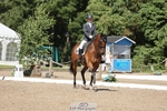 231-Amy_Searle-Haver_II portfolio
