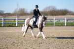 SBM_004203