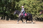 WJ6_7942