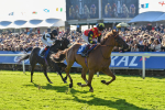141023-Race 3-Montassib-0995