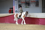 SBM_06953