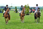 EQUISCOT 9324
