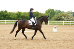SBM_006341