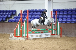 SBM_002009