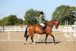 SBM_02178