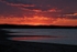 Nantucket Reds