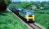 15th May 2005