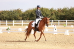 SBM_016915