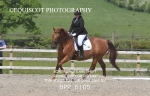 BPP_6105