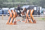 BPP_6503