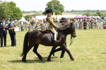 SBM_05233