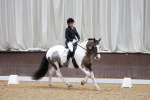SBM_006304