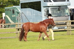 SBM_00422