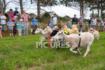 Guernsey Agricultural Show 2021-130