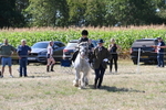 WJ6_7924