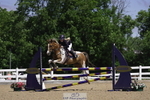 Saturday 24th = Click to View Photos portfolio