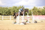 SBM_008824
