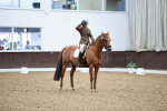 SBM_001537