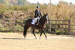 SBM_009871