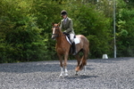 WJ5_9989