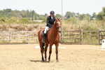 SBM_003613