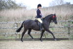 SBM_004814