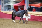 SBM_16086