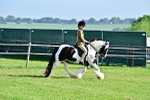 SBM_11587