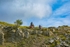 DSCF8861