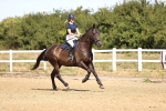 SBM_000381