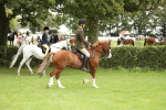 SBM_73686