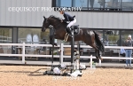 BPP_5941