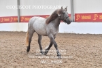JAC_5698