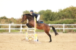 SBM_008991
