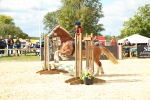 J6 - Junior Pony 55cm Championships portfolio