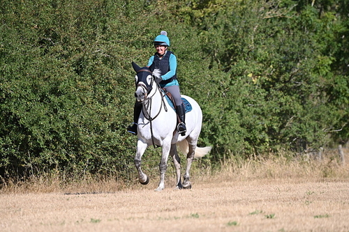 WJ6_6886