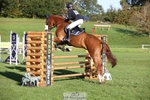 643-MIH.TOPGUN-Ellie.Nicholson-TrotUp+SJ portfolio