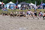 East Devon Hounds portfolio