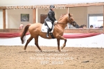 BPP_8540