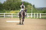 SBM_007955