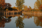 Fall reflections 2012