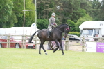 SBM_16226