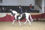 SBM_23764
