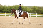 SBM_006912