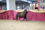 SBM_05088