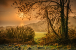 z3704 Warm Light on a Cold Morning, Luccombe