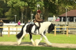 SBM_68784