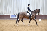 SBM_008129