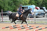 WJ7_9384
